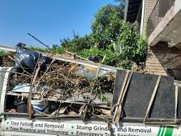 Best Office Cleanout  in Nitro, WV